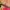 2771-WallClip13mm.jpg 2771-WallClip13mm.jpg